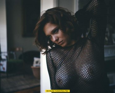 seydoux_mesh_1fz.jpg